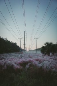 Kunne du som elektriker blive ansat uden at have en fagforening?